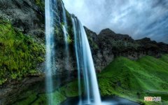 吃螃蟹时能喝牛奶吗 螃蟹牛奶可以一起吃吗