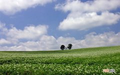 六个月宝宝375度可以吹空调吗夏天 夏天小孩发烧能开空调吗