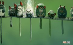 请问姐挺柏M思这个牌子的产品如何 纯天然丰胸产品排行榜