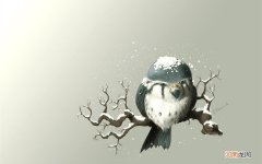 咖啡喝多了会有什么坏处呢 经期喝咖啡有什么危害