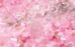 什么样的身体不可以汗蒸 为什么脾虚湿气重不能汗蒸