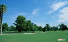 红色是怎么回事 精囊炎血精能自愈吗