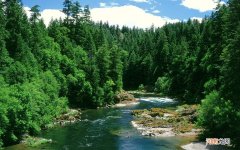 补中益气丸一次吃多少粒 补中益气丸甘温除热