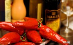 四个季节的特点是什么 秋天的特点有哪些呢