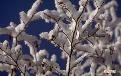 坐月子能用清洁面膜吗 坐月子敷面膜会落病吗