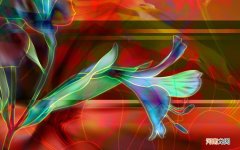 我想给女主播刷礼物 送礼物没钱怎么办