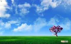 为什么有些女孩和男朋友吃饭的时候 跟男朋友吃什么饭