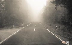 胎盘干细胞的临床应用是什么呢 干细胞什么时候可以临床