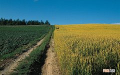 七夕终于过去了的说说 七夕节说说图片大全