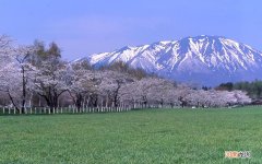 睡前给皮肤做保养重要吗 做美容保养的重要性