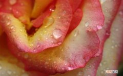 吃什么药物可以治疗 求中药治疗滑精方子