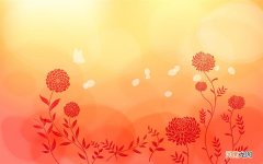 少精症的治疗吃什么药 五子衍宗丸几盒一疗程