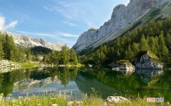 哪些食物祛湿效果能赛过拔火罐 除湿气吃什么食物