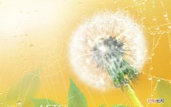 人通常吃什么 上海七夕节吃什么