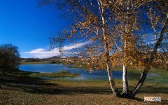 十年前蜂蜜的保质期是多少 蜂蜜十年还能吃吗