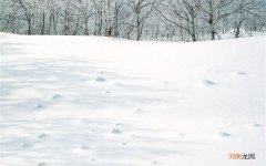 蜂蜜吃多了会发胖吗 女人长期喝蜂蜜水会长胖吗