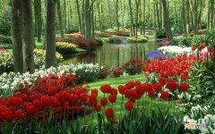 一碗白米粥加一个白煮蛋的热量是多少 晚上喝一碗粥会胖吗