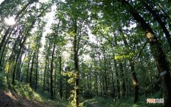 每天慢跑步5公里 前列腺增生运动锻炼治疗