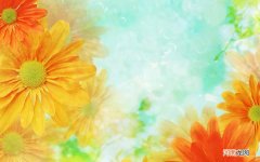 五花肉肉丸子的家常做法 三文鱼肉丸子的做法