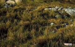 与女生第一次吃饭结束后怎么聊 和女生吃完饭后应该如何继续