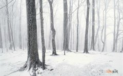 牙膏的35种妙用你知道吗 牙膏去脂肪粒怎么去除