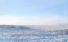 小孩经常喝早餐奶好吗 早餐吃什么补钙