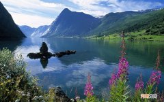 粪便中检测出新冠病毒核酸阳性 预防传染病的注意事项