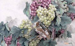 醋延胡索是石头吗 延胡索外用的功效与作用