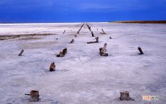 即食三文鱼做法 三文鱼如何生吃怎样清洗