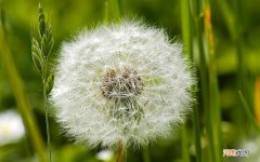 支气管炎的临床表现 支气管炎咳嗽特点