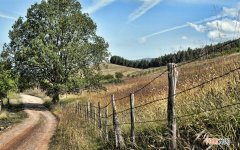 怎样可以快速去黄改善肌肤光泽 脸色又黑又黄怎么调理