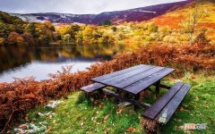 山楂怎样喝才能发挥它降血脂 民间降血脂偏方大全