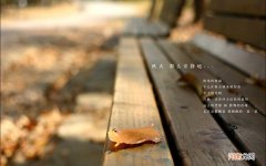 蜂蜜冲水比例是多少 冲蜂蜜水放多少合适