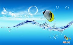 中年男性性生活时间短有什办法 如何提高性质量