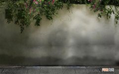 吃香菜白萝卜生姜能退烧 感冒发烧适合煲什么汤