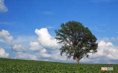 化妆品打折促销长句 卖化妆品促销广告词