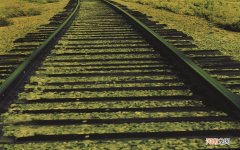 有哪些适合糖尿病人的食谱呢 血糖高营养餐食谱大全及做法