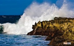 感冒咳嗽吃阿莫西林可以吗 感冒吃阿莫西林有用吗