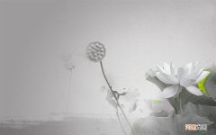 怎么有效去除瘊子 母刺瘊子怎么去除