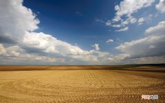 短跑要讲究什么动作要领 短跑跑步的技巧和姿势