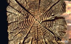 糖尿病母亲自己在家带小孩 糖尿病的人吃什么零食最好