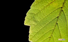 鞘膜积液的治疗方法有几种 交通性鞘膜积液