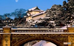 每天喝蜂蜜水会变白吗 喝蜂蜜柠檬水多久可以美白