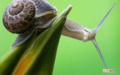 异地恋送男友最好的礼物是什么 适合异地恋情侣的礼物