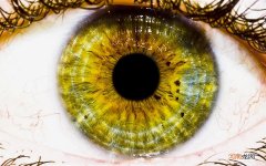 眼皮肿了怎么快速消肿 眼皮上面长了个包肿了