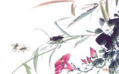 治疗早泄的药有哪些 男性口服最好的延时药