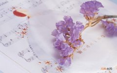 汇仁肾宝片可以怎么服用哪些人要慎用啊 16岁可以吃肾宝片吗