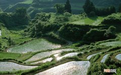 三叉穴在哪里 董氏奇穴治疗带状疱疹