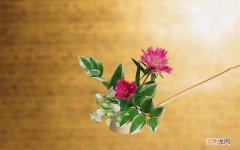 共度余生情话最暖心短句 情话最暖心图片带字