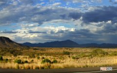 糖尿病人为什么容易发热出汗 糖尿病胃肠神经病变